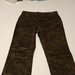 Express pants